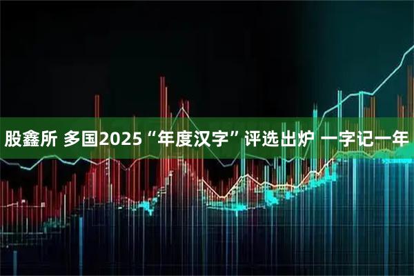 股鑫所 多国2025“年度汉字”评选出炉 一字记一年