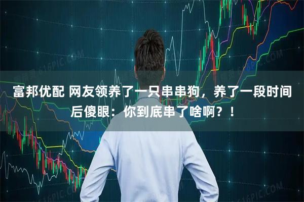 富邦优配 网友领养了一只串串狗，养了一段时间后傻眼：你到底串了啥啊？！